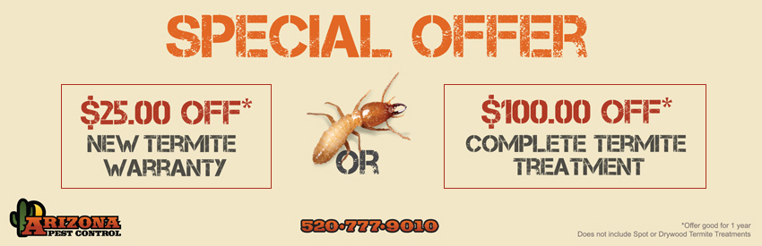 termite-coupon
