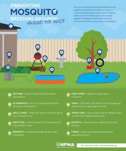 mosquito-breeding-infographic-040216